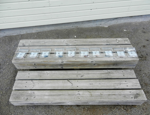 Word puzzle for radioactive stones and geiger counters. Photo by Martin Howse.