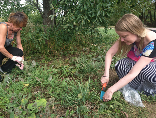 Lähirohtola, plant pharmacy, installation, detail (plant collecting), 2018.