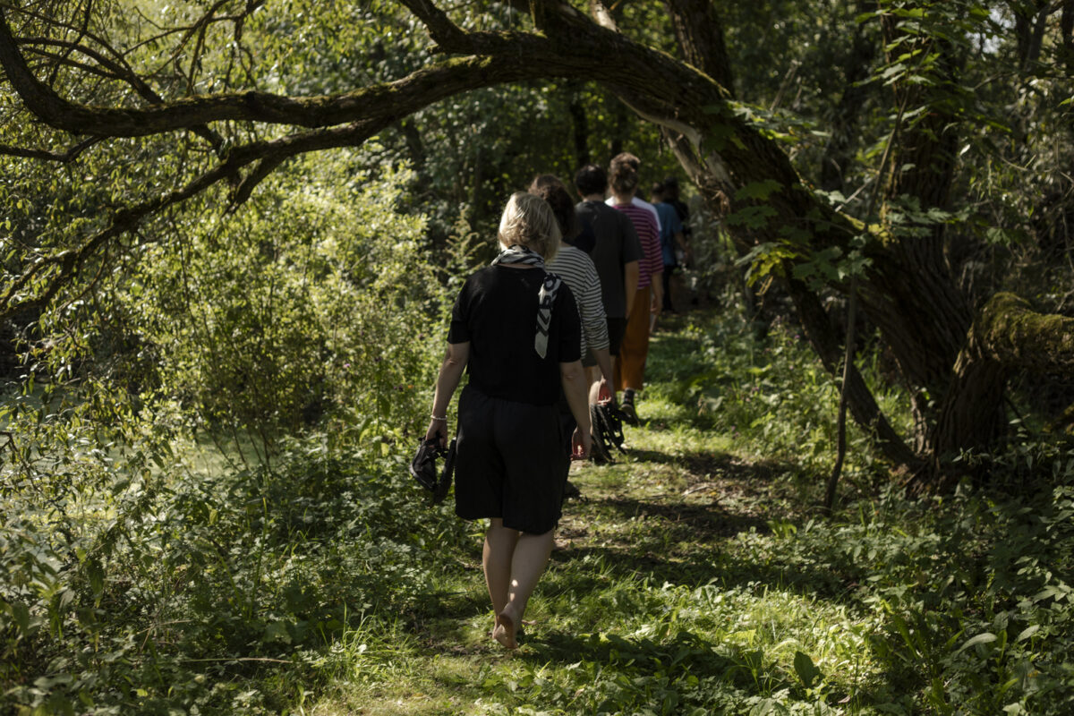 People walking in the forest.